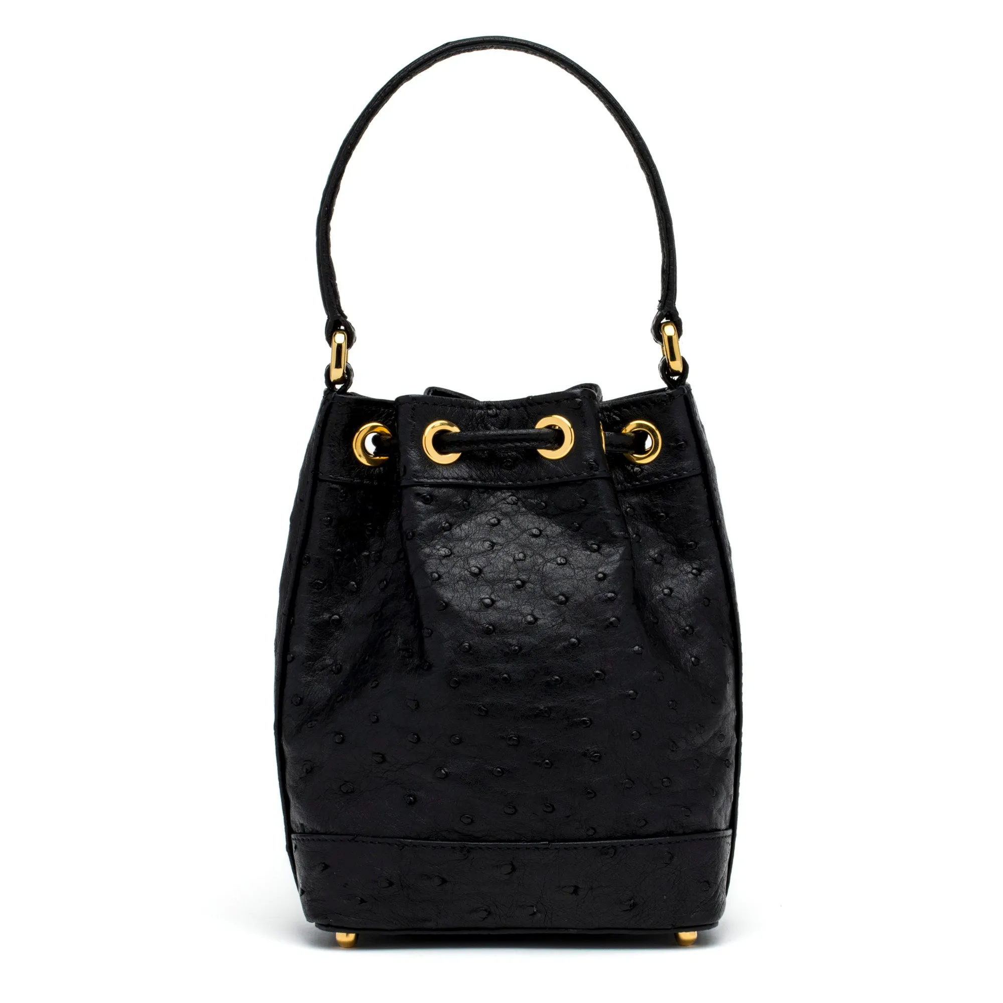 Petite Isla Tote in Black Ostrich