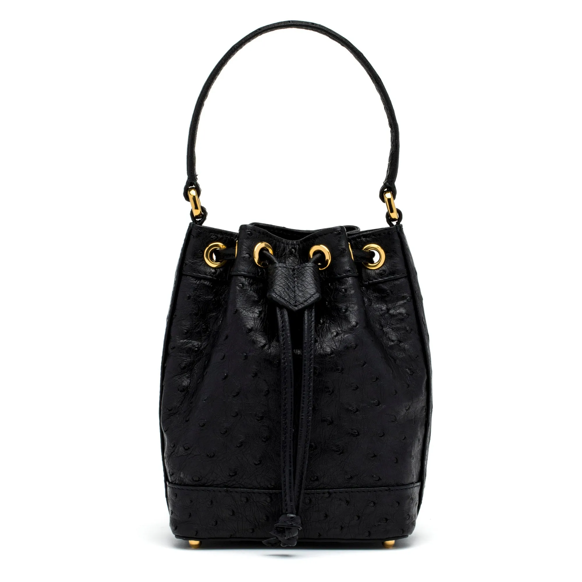 Petite Isla Tote in Black Ostrich